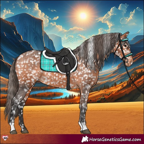 Horse Color:Bay Appaloosa Rabicano 