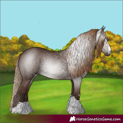 Horse Color:Gray Chestnut 
