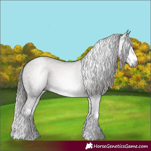 Horse Color:Gray White Spotted Liver Chestnut Varnish