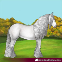 Horse Color:Gray White Spotted Liver Chestnut Varnish 