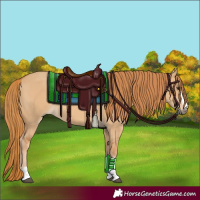 Horse Color:Red Dun 
