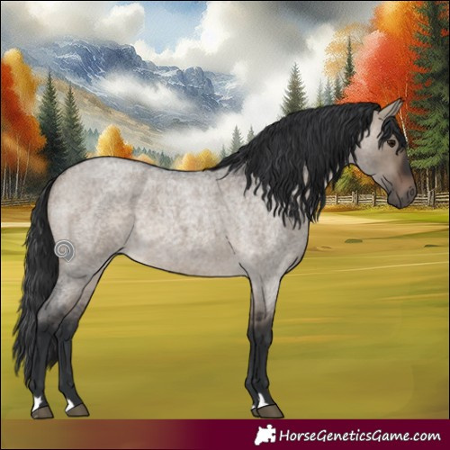 Horse Color:Brown Roan Dun 