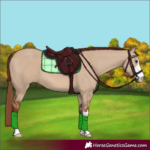 Horse Color:Red Dun