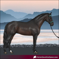 Horse Color:Brown 