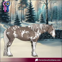 Horse Color:White Spotted Silver Black 
