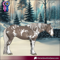 Horse Color:White Spotted Silver Black