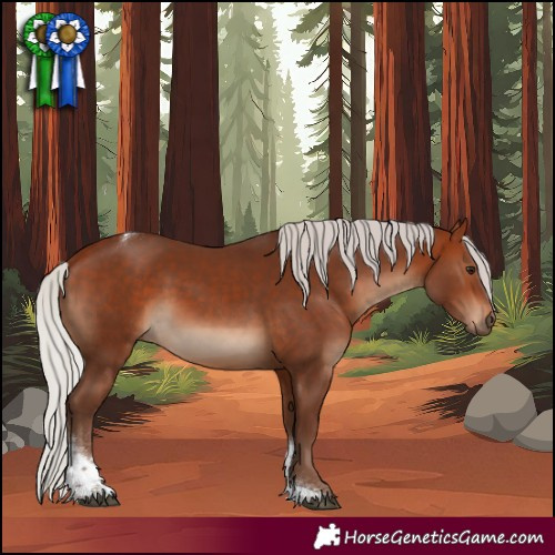 Horse Color:Silver Bay Tobiano Rabicano