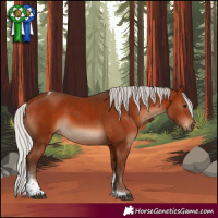 Horse Color:Silver Bay Tobiano Rabicano 