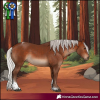 Horse Color:Silver Bay Tobiano Rabicano 