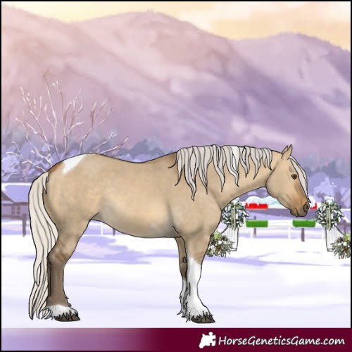 Horse Color:Silver Buckskin Dun Tobiano Rabicano 