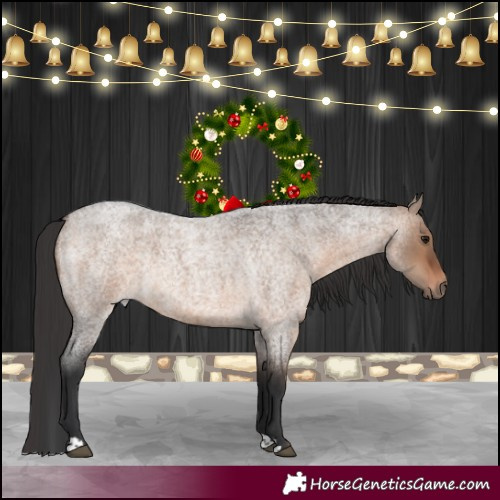 Horse Color:Brown Roan Dun Rabicano 