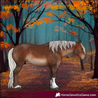 Horse Color:Silver Brown Tobiano