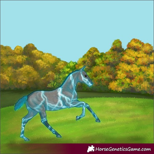 Horse Color:Thunderstruck Grullo Roan