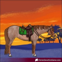Horse Color:Red Roan 