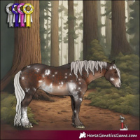 Horse Color:White Spotted Silver Brown Sabino