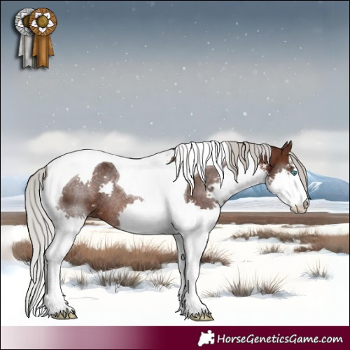 Horse Color:White Spotted Silver Brown Splash Tobiano Rabicano 
