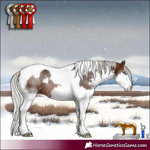 Horse Color:White Spotted Silver Brown Splash Tobiano Rabicano 