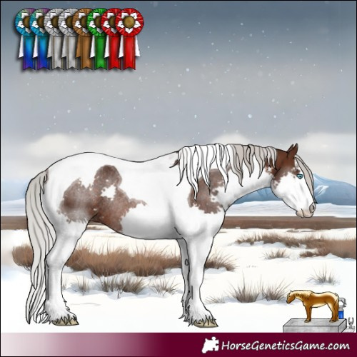 Horse Color:White Spotted Silver Brown Splash Tobiano Rabicano 