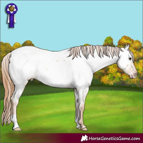 Horse Color:Red Dun Near Fewspot 
