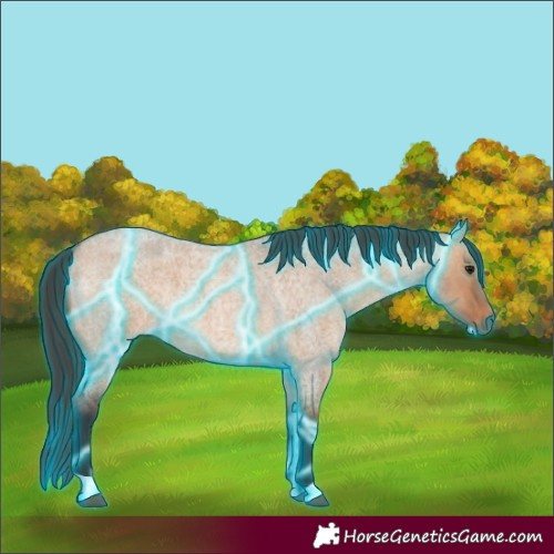 Horse Color:Thunderstruck Bay Roan Dun 