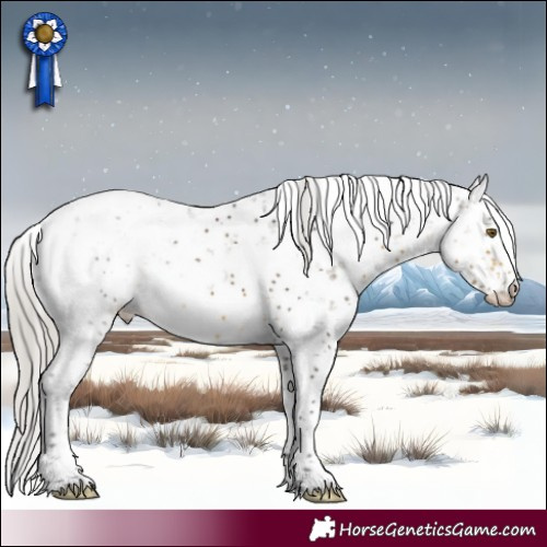 Horse Color:Silver Buckskin Sabino 