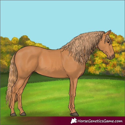 Horse Color:Unknown 