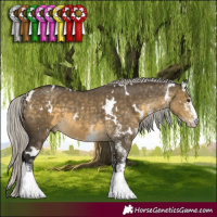 Horse Color:White Spotted Silver Buckskin Dun 