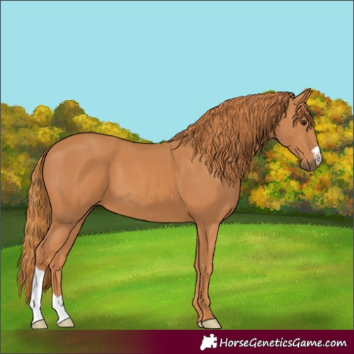 Horse Color:Unknown 
