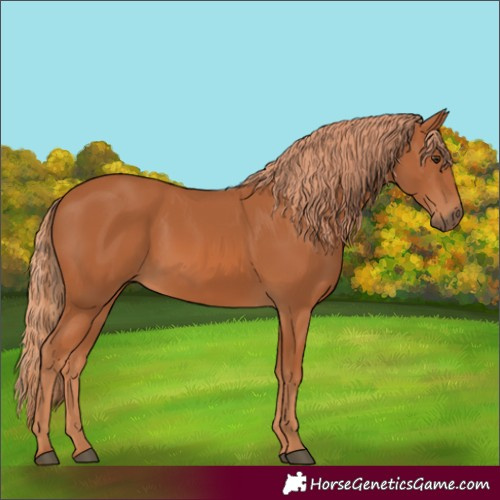 Horse Color:Unknown 