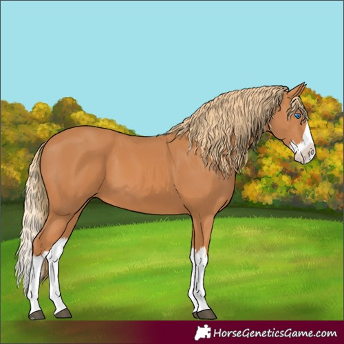 Horse Color:Unknown 