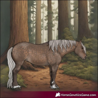 Horse Color:Silver Brown Dun 