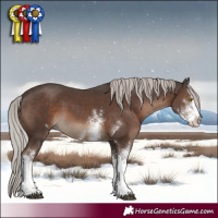 Horse Color:Silver Black Sabino