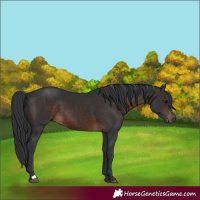Horse Color:Brown 