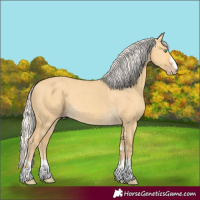 Horse Color:Silver Amber Cream Champagne Dun 