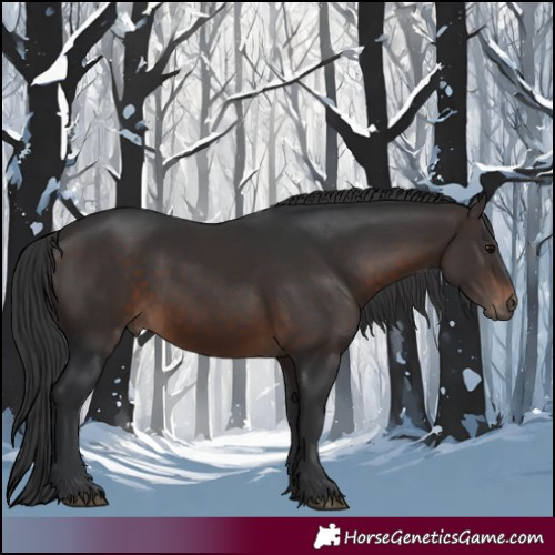 Horse Color:Brown 