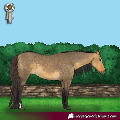 Horse Color:Buckskin Dun and Buckskin Dun