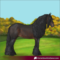 Horse Color:Brown 