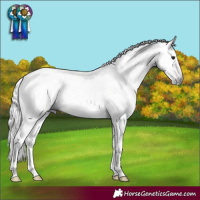 Horse Color:Gray Bay Sabino Rabicano