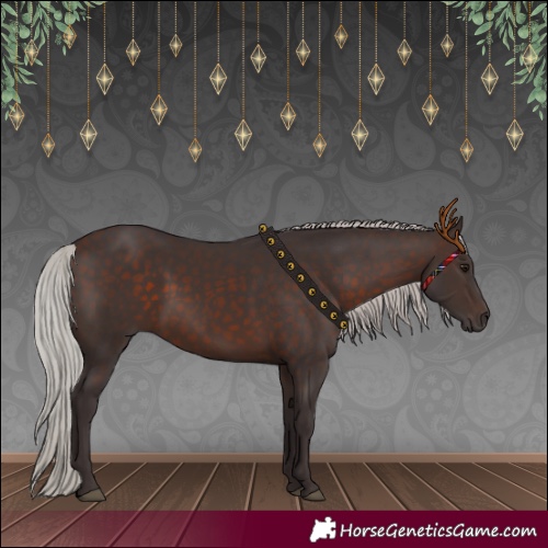 Horse Color:Silver Brown 