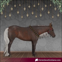 Horse Color:Silver Brown 
