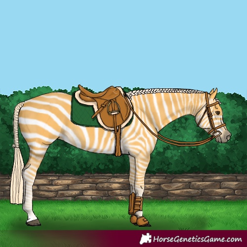 Horse Color:Palomino 