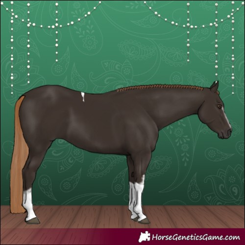 Horse Color:White Spotted Liver Chestnut Tobiano 