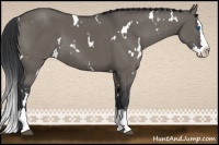 Horse Color:White Spotted Grullo Splash 