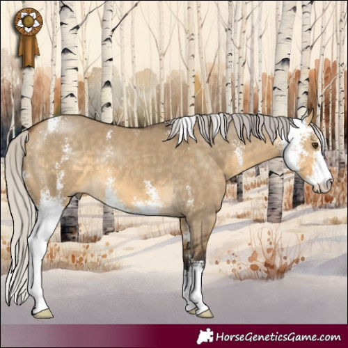 Horse Color:Silver Buckskin Dun Sabino 