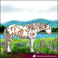 Horse Color:White Spotted Chocolate Palomino Mushroom Tobiano Near Leopard