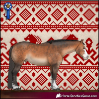 Horse Color:Bay Sabino 