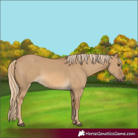 Horse Color:Chocolate Palomino Dun 