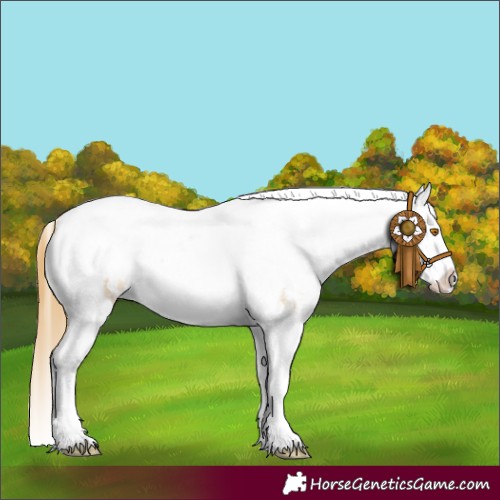 Horse Color:Buckskin Roan Dun Tobiano Frame Appaloosa Rabicano 