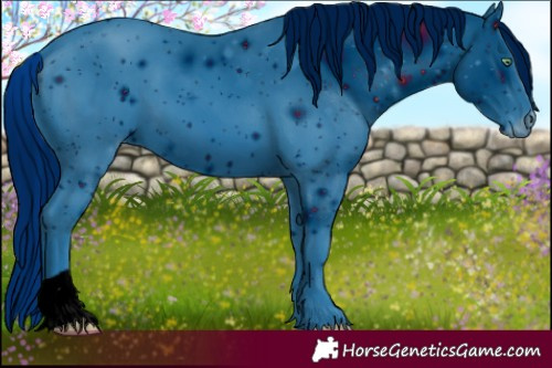 Horse Color:ERROR: UNKNOWN ANOMALY