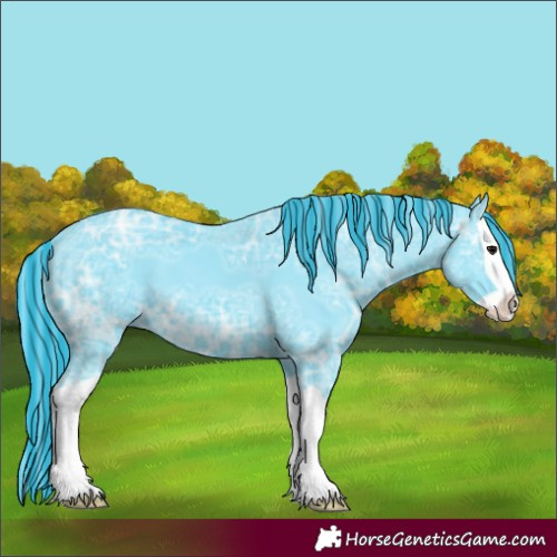 Horse Color:Painted Watercolor Black Ice Splash 